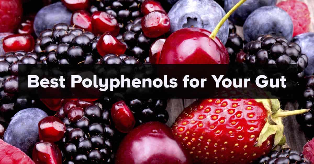 Best Polyphenols for Your Gut with various berries in background