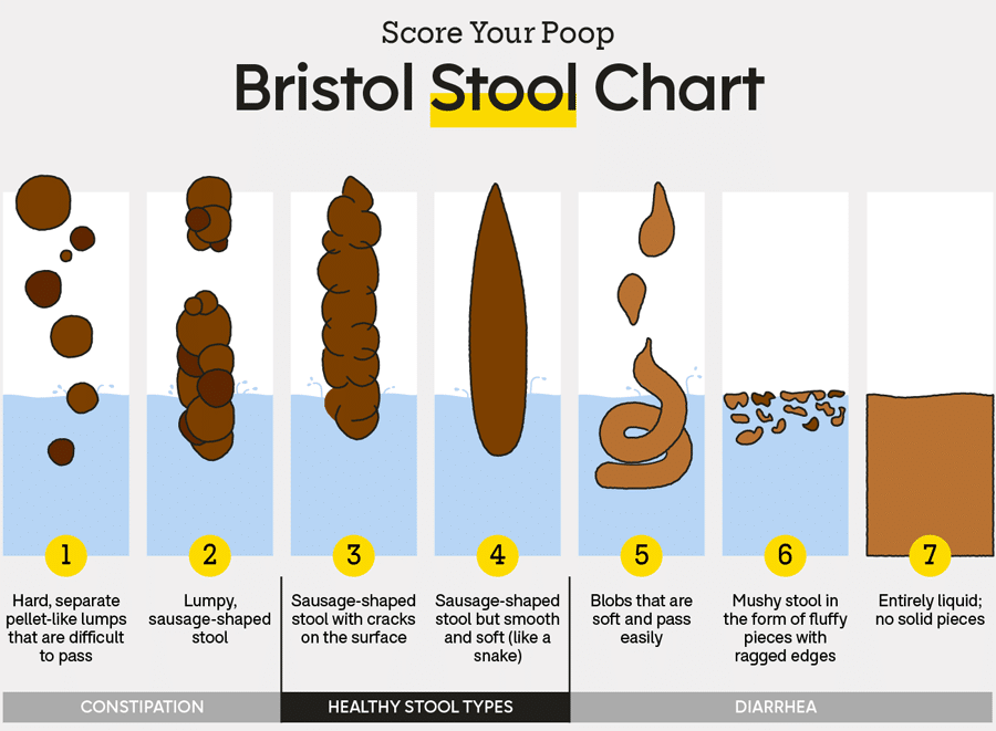 Bristol Stool Chart explaining the seven shapes of a stool